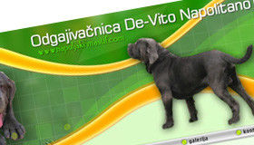 Odgajivanica napuljskih mastifa